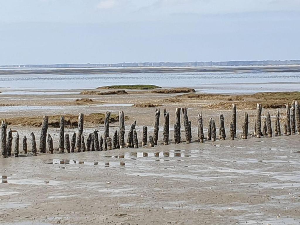 Studio Mit Meerblick Und Grosser Loggia - Direktzugang Zur Nordsee Wilhelmshaven Buitenkant foto
